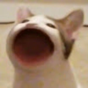 Meet your Posher, Jio